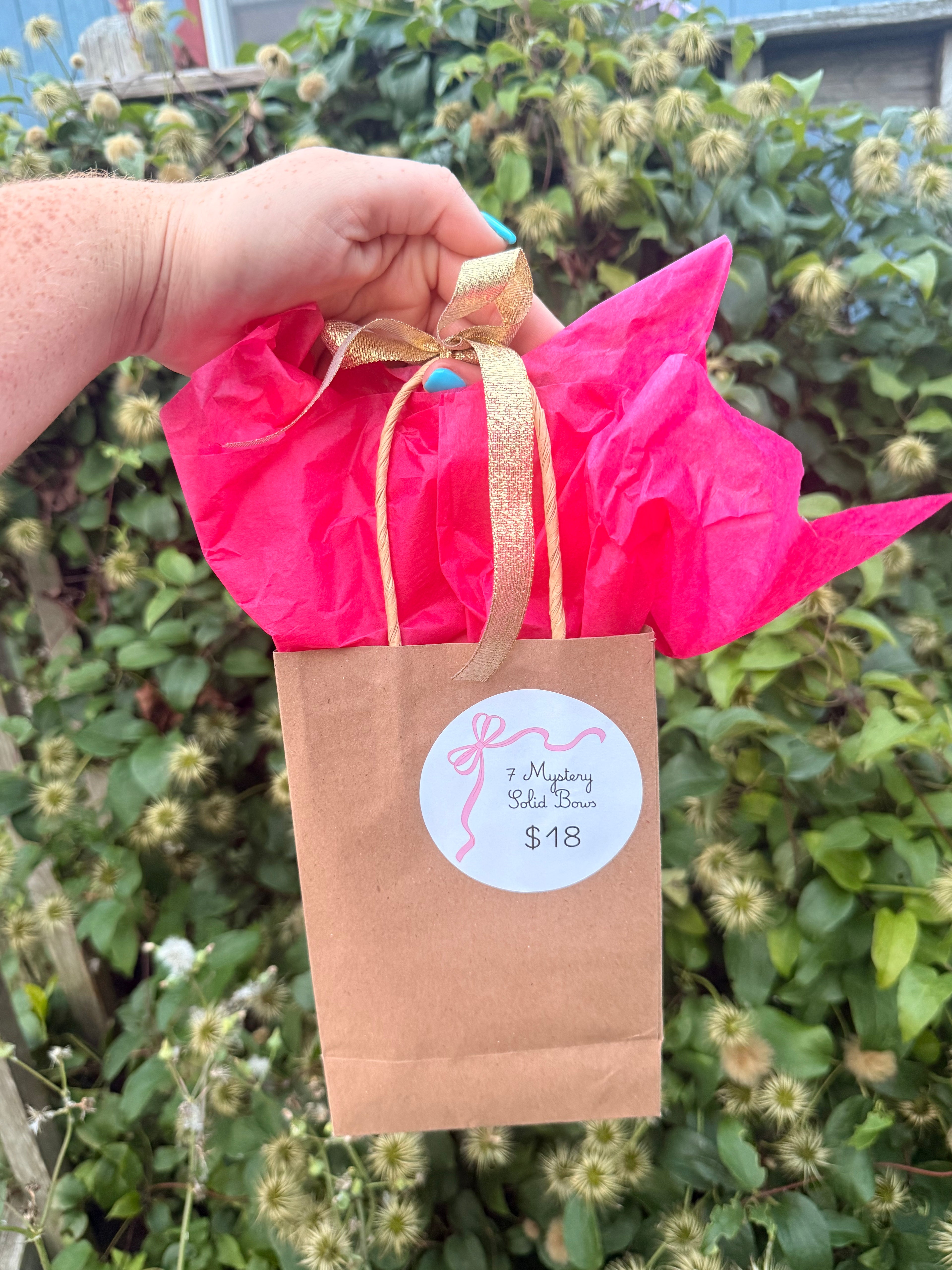 Blind Bow Bags